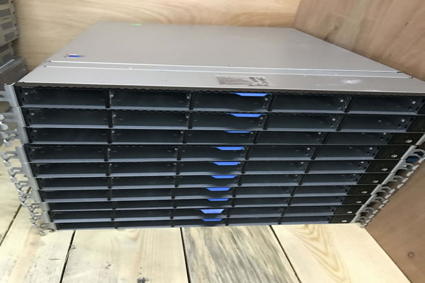 Market Demand And Future Development Trends Of Vietnam’s Native Ip