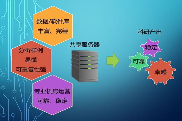 analysis of the advantages of high-defense hard defense servers in the us market